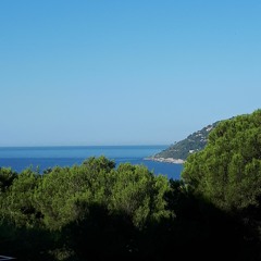 Summer Dream