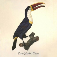 Camo Columbo - Toucan