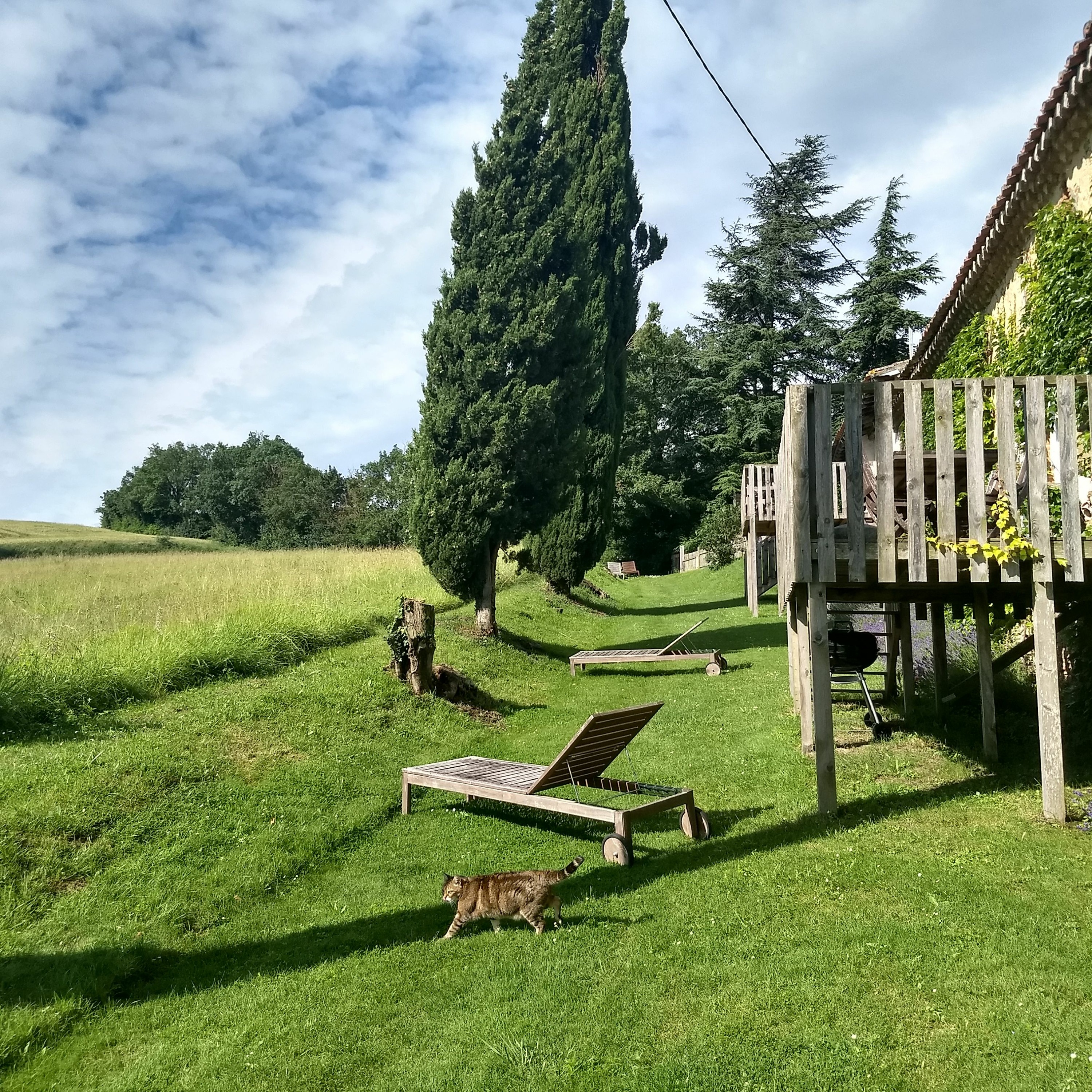 French Rural Ambience 2 20180606