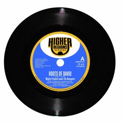 "ROOTS OF DAVID" Mighty Prophet meets The Navigator SAMPLE