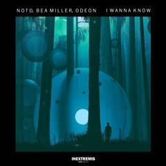 NOTD ft. Bea Miller - I Wanna Know (INNRBLM Remix)