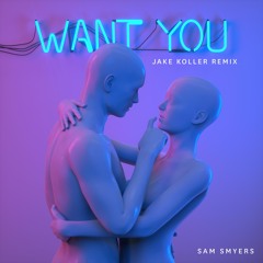 Sam Smyers - Want You (Jake Koller Remix)
