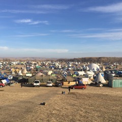 Southwest Survivor by John Sheldon