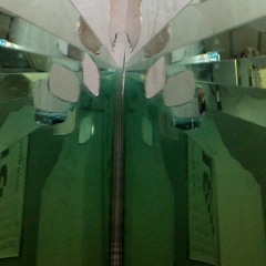 Tclaw TheLaw - Programs Freestyle