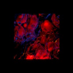 Par Hasard (Prod. SB95)