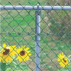 Denverb - Chain Link Fence 47 - All Day I Dream - 07-29-2018