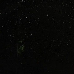 ✿ lilbootycall ✿ ~ jingo