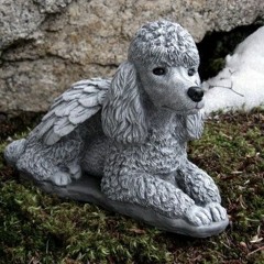 babyt33th - wakin u up (dj poodle emoji edit)