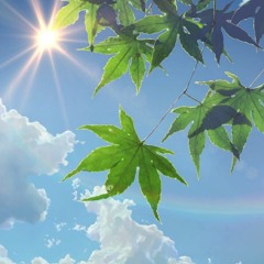 morning sun (demo)