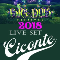 Big Dub 2018 Live Set - Ciconte