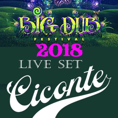 Big Dub 2018 Live Set - Ciconte