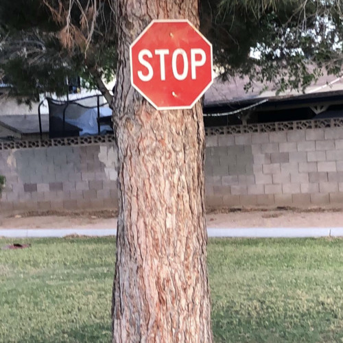 Stream Dont Go By The Redstops Listen Online For Free On Soundcloud