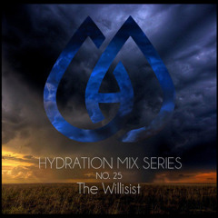 Hydration Mix Series No. 25 - The Willisist
