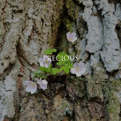 Precious [Copyright Free Melodic Dubstep]