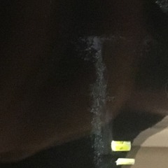 Trson/Vakari - Focal