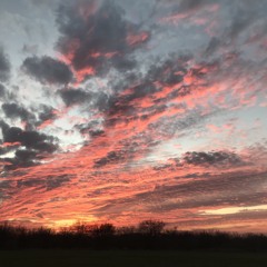 TOO MANY (feat. Hunter Perez)