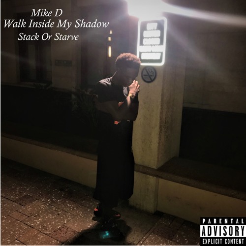 Walk Inside My Shadwos