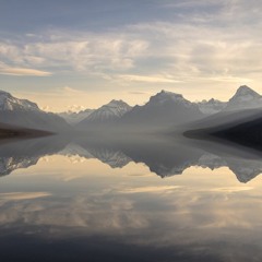 Reflection