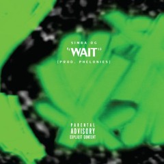 wait [prod. phelonies]