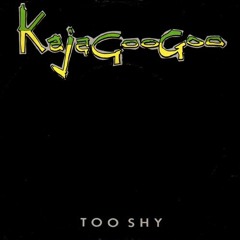 KAJAGOOGOO - Too Shy (Dj Nobody Boost Dub Re Edit).mp3
