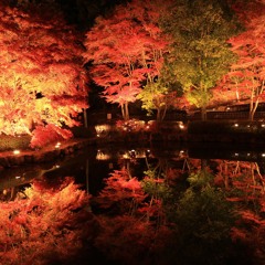 When Autumn Comes Monday Kiz