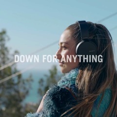Sam Feldt & Möwe - Down For Anything (feat. KARRA) (Jesse L W Remix)