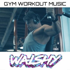 DJ Walshy - GYM Workout Mix - No. 042 (800k Plays Special)