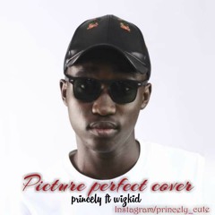 picture perfect cover princely ft wizkid