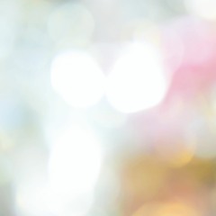 The songs to want to listen to neatly
