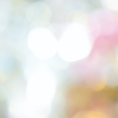 The songs to want to listen to neatly