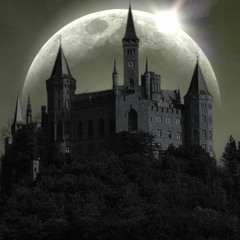 A Castle With No Princess