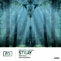Karl Karter & Sid Shah - Stray (Radio Edit)