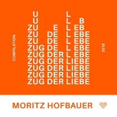 Moritz Hofbauer - Freak (Original Mix)