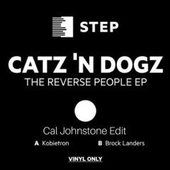 Catz N Dogz - Kobietron Sins  (Cal Johnstone Lights Down Edit)