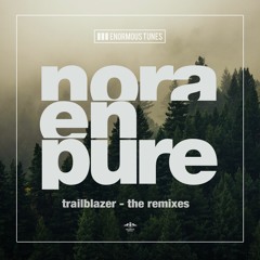 Trailblazer (Martin Waslewski Remix)