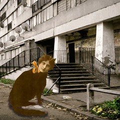 For Fun // Le Freestyle De Marie Fraise