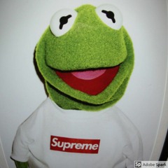 Kermits Night(lil Kerm)