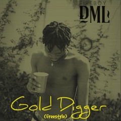 Gold Digger (freestyle)