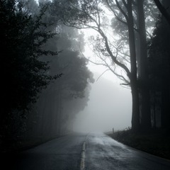 Deep Woods And Amber X