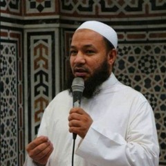 سورة النجم - الشيخ رضا عبد المحسن