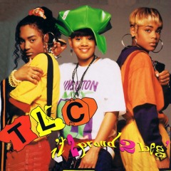 TLC - Hat 2 Da Back