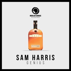 Sam Harris - Genius // Free Download