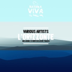 Abbelard, MODOR - Ghost Train (Original Mix) [Natura Viva]