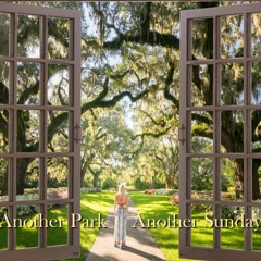 Another Park, Another Sunday (Doobie Brothers Cover)