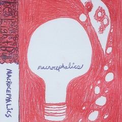 The Light Bulbs - very very very sick - from MS13 - Macrocephalics