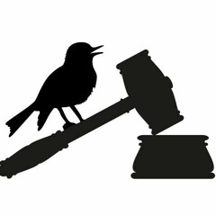 Bird Court Theme