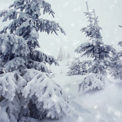 Winter Storm White Noise (75 Minutes)