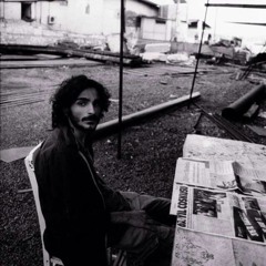 Cihangir Kedileri (Yıldırım Türker)