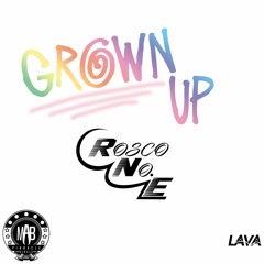 Rosco No.E "Grown Up"