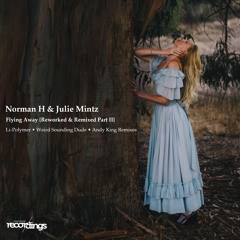 Norman H & Julie Mintz - Flying Away {Weird Sounding Dude Remix} Stripped Recordings